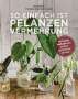 Olivia Brun: So einfach ist Pflanzenvermehrung. Die besten Methoden für 60 Nutz- und Zimmerpflanzen., Buch