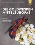 Heinz Wiesbauer: Die Goldwespen Mitteleuropas, Buch