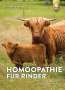 Christine Erkens: Homöopathie für Rinder, Buch