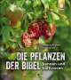 Wolfgang Kawollek: Die Pflanzen der Bibel, Buch
