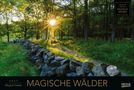 „Magische Wälder“, 2027, ein Pfad durch einen sonnenbeschienenen, grünen Wald mit einer Steinmauer., Kalender