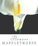 Robert Mapplethorpe: Flowers, Buch