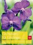 Jörn Pinske: Orchideen für Einsteiger, Buch, Buch