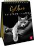 Goldene Katzenweisheiten, Buch