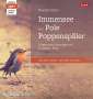 Theodor Storm: Immensee und Pole Poppenspäler, MP3-CD