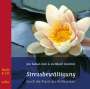 Jon Kabat-Zinn: Stressbewältigung durch die Praxis der Achtsamkeit, Buch