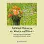 Christiane E. Bracher: Blühende Phantasie aus Worten und Blumen, Buch