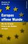 Wladimir Wladimirowitsch Sergijenko: Europas offene Wunde, Buch