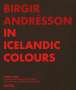 Birgir Andre´sson: In Icelandic Colours, Buch