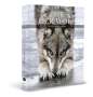 Shaun Ellis: Der Wolf, Buch