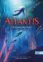 Gregory Mone: Atlantis (Band 2) - Trügerischer Pakt, Buch