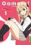 Sekina Aoi: Gamers! Light Novel 01, Buch