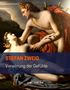 Stefan Zweig: Verwirrung der Gefühle, Buch, Buch