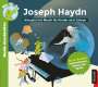 Joseph Haydn, CD
