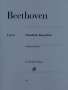 Ludwig van Beethoven: Sämtliche Bagatellen, Buch