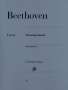 Ludwig van Beethoven (1770-1827): Beethoven, L: Streichquintette, Buch
