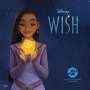 Erin Falligant: Disney Wish, MP3-CD