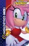 "The IDW Collection 07", "Sonic The Hedgehog". Eine rosa Figur mit grünen Augen und rotem Kleid, Illustration., Buch