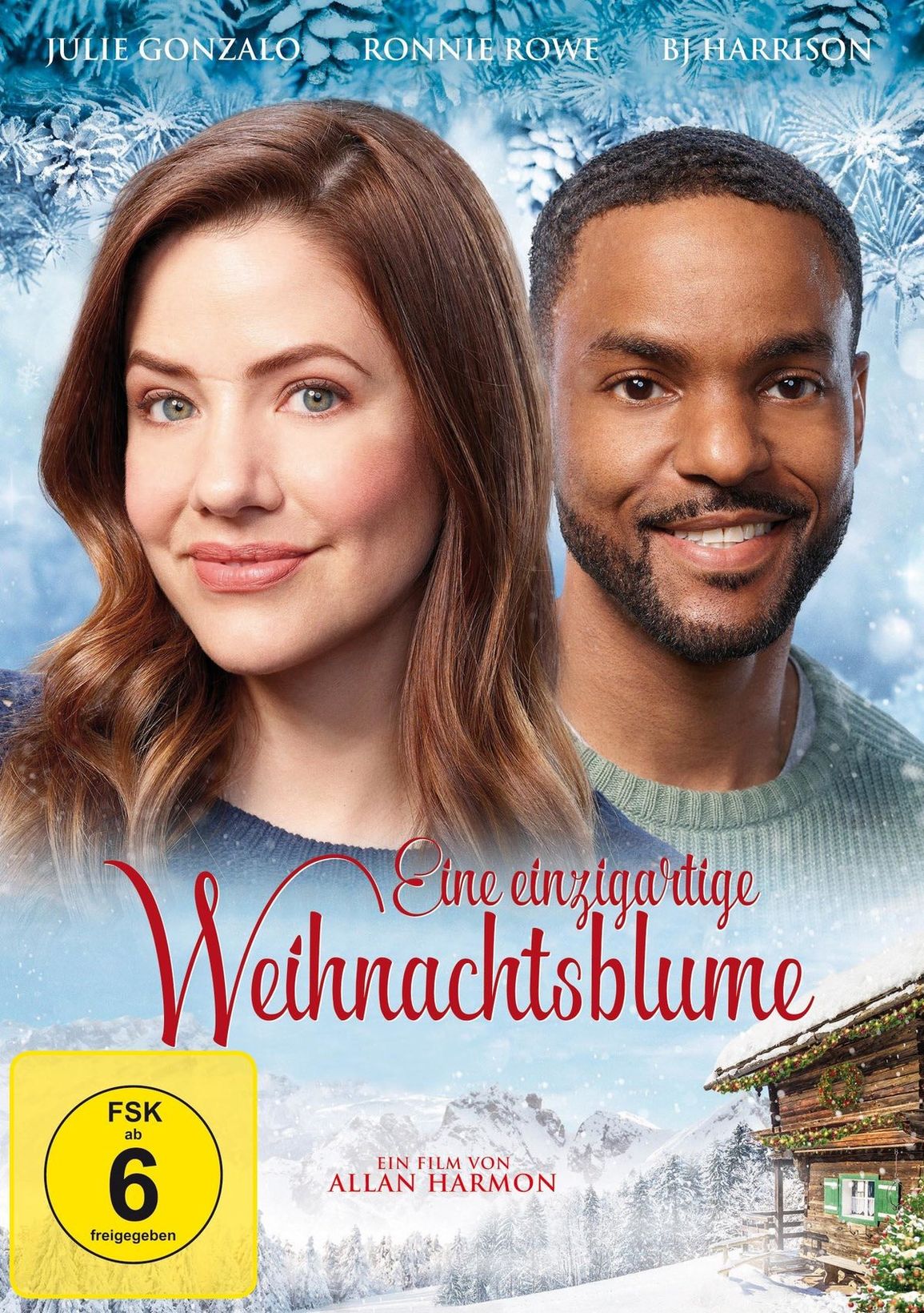 Eine einzigartige Weihnachtsblume (DVD) –