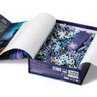 "ANNE STOKES" und "IRON FLAME" sind sichtbar. Geöffnete Puzzle-Box mit blauen Teilen, Design eines Drachenschuppens.