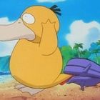 Ein gelbes, enteähnliches Wesen hält sich den Kopf. Neben ihm liegt ein lila Rucksack. Im Hintergrund Strand und Meer.