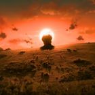 Eine hügelige Wiese bei Sonnenuntergang, mit dunklen Silhouetten und rot-orange beleuchtetem Himmel.