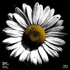 Texte: "Heart of Gold", "The Songs of Neil Young", "Vol. 3", "Into the Black". Eine stilisierte, weiße Blume auf schwarzem Hintergrund.