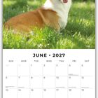 „June 2027“ steht oben. Darunter Kalender. Ein Corgi liegt im Gras, im Hintergrund sind Tannenäste.