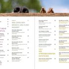 Textausschnitt aus einem Inhaltsverzeichnis. Kapitel 1-3 thematisieren Stress zwischen Mensch und Hund. Hintergrund: Hundeschnauze und ein Ohr.