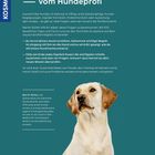 „Rat aus erster Hand vom Hundeprofi“ oben. Darunter Text über Hundetraining und Martin Rütter. Bild eines Labradors rechts.