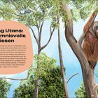 "Orang Utans: Geheimnisvolle Riesen" steht oben. Zwei Orang-Utans sind in Bäumen einer dichten Dschungellandschaft.