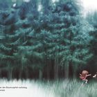 Text: "Wie immer, wenn die Sonne über den Baumwipfeln aufstieg, gingen Ella und Strolch in den Wald." Illustration mit Kind und Hund im Wald.