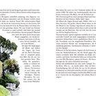 Seite mit Text in deutscher Sprache. Illustration eines traditionellen Landhauses mit Reetdach und Garten unten links.