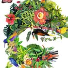 Oben links die Zahl 20, umgeben von bunten Vögeln, Blumen und grünen Blättern. Eine bunte Illustration.