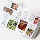 Zahlreiche Texte auf zwei Buchseiten, darunter "Steinobstglanz 10" und "Die Welt ist grün 6". Dazu bunte Bilder von Speisen und Natur.