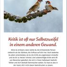 „Kritik ist oft nur Selbstzweifel in einem anderen Gewand.“ Zwei Spatzen sitzen auf einem schneebedeckten Ast.