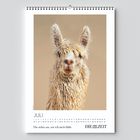 JULI, "Du siehst aus, wie ich mich fühle", DIE ZEIT. Ein Lama mit flauschigem Fell vor neutralem Hintergrund.