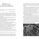 „Märchen von den Steinbrechblumen“ steht oben. Unten ist eine schwarz-weiße Fotografie von Steinbrechblumen.