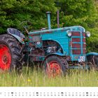 Text "HANOMAG" und Nummernschild "WH EX 25". Ein altertümlicher, blauer Traktor mit roten Rädern im hohen Gras.