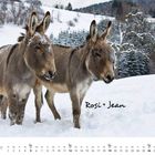 "Rosi + Jean" steht neben zwei Eseln im Schnee. Unten Kalender für Dezember. Verschneite Bäume im Hintergrund.