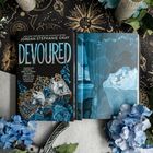 Buchtitel: "Devoured" von Jordan Stephanie Gray. Links ein Buchcover, rechts eine Illustration eines schlafenden Paares im Bett.
