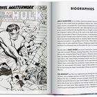 "A Marvel Masterwork Pin-Up: The Incredible Hulk" links. Rechts Biografien von Jon D'Agostino, Dick Ayers und Sol Brodsky.