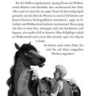 Text beschreibt Reenas Abenteuer mit Seelenpferd Wolkenwind, inklusive Fellpflege. Illustration: ein Mensch bürstet ein verziertes Pferd.