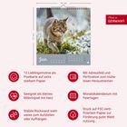 „Made in Germany“. „Jan“ unter einem Foto einer Katze im Schnee. Verschiedene Vorteile von Kalenderkarten.