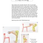 3 Aufrichtung. Beende das Set mit der Tiefenentspannung! Drei Bilder zeigen Yoga-Übungen mit einem Stuhl.