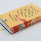 Die Texte beschreiben ein Buch von Colin Morgan, Titel: "Die Ballade von Ronan McCoy". Cover in Gelb mit Farbverlauf.