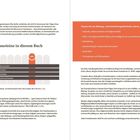 Texte: "Die Praxisbausteine in diesem Buch", "Wohlbefinden und Anerkennung erleben", "Die Welt entdecken und verstehen", "Sich ausdrücken und verständigen", "Mitbestimmen und zur Gemeinschaft beitragen", "Themen für das Bildungs- und Entwicklungsfeld Kultur, Werte, Religion", "Kulturelle, weltanschauliche und religiöse Vielfalt".

Links Text mit Diagramm, rechts rot hinterlegter Kasten mit Themenliste.