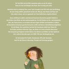 Texte beschreiben Tonis Erleben im Autismus-Spektrum. Illustration zeigt Kind mit Blume. Enthält Logo von neukirchener.