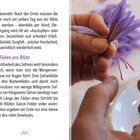 Text: "Drei Fäden pro Blüte. Die Kostbarkeit des Safrans...". Zwei Hände zupfen rote Fäden aus einer violetten Blüte.