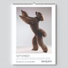 SEPTEMBER. Du siehst aus, wie ich mich fühle. Ein tanzender brauner Pudel aufrecht auf zwei Beinen.